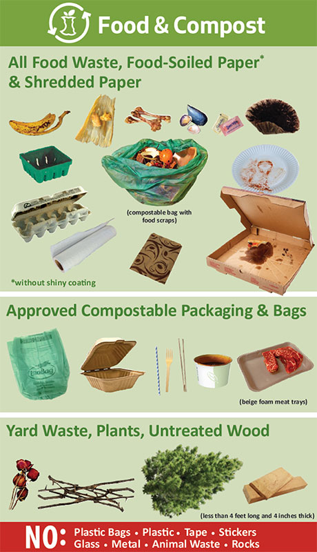 Food and Compost Collection Guidelines